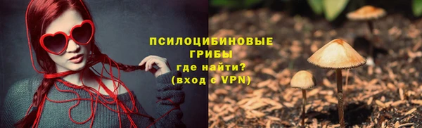 ECSTASY Богородск