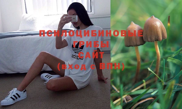 прущая мука Верея