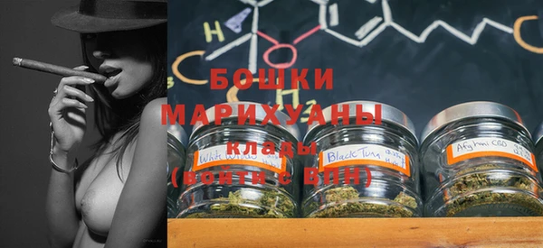 ECSTASY Богородск