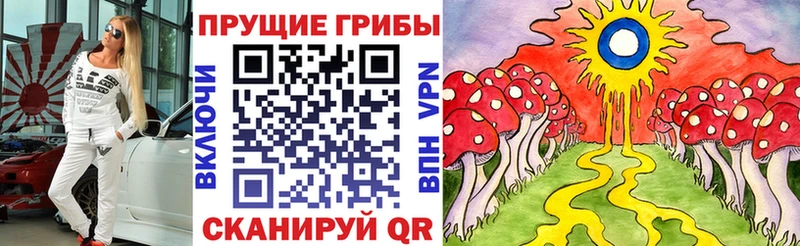 Псилоцибиновые грибы GOLDEN TEACHER  сайты даркнета состав  Камызяк  MEGA ТОР 